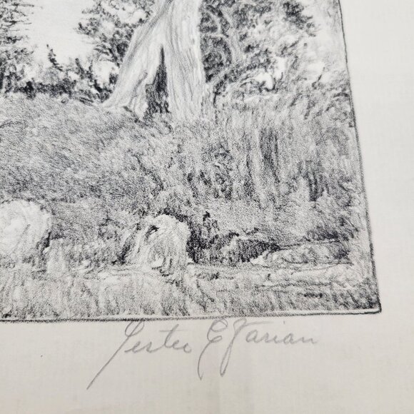 Landscape Scrub Trees Art Print Unframed Black White Signed Lester E Varian - Picture 5 of 7